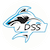 DGS